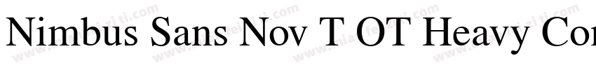 Nimbus Sans Nov T OT Heavy Con Regu字体转换